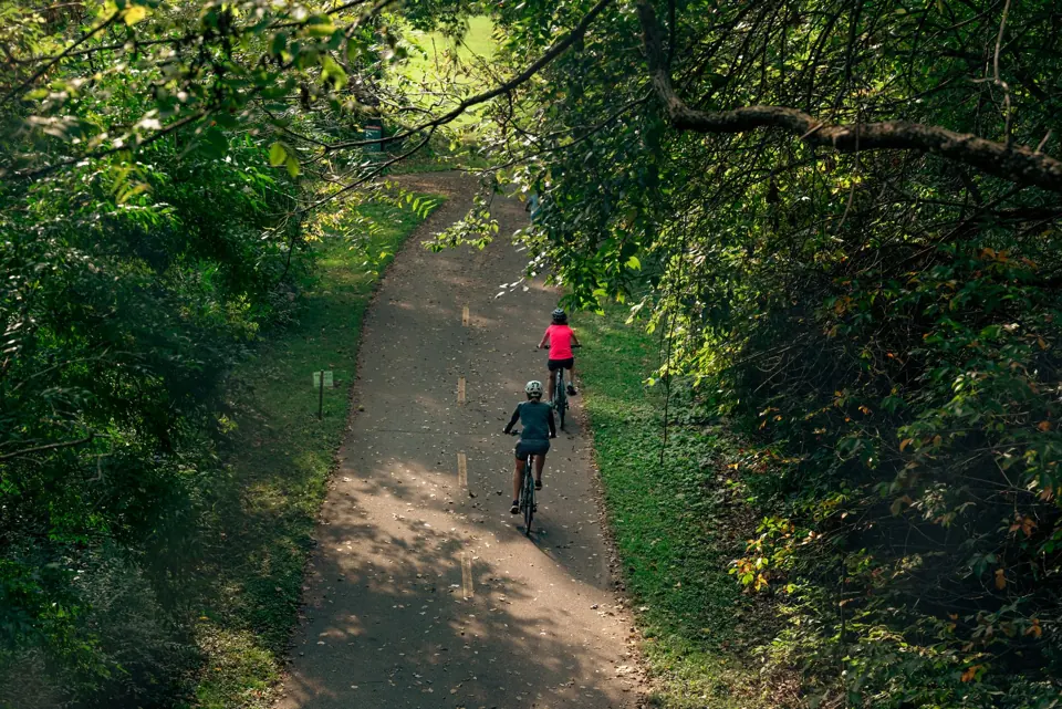 Deux cyclistes sur un chemin bordé d’arbres