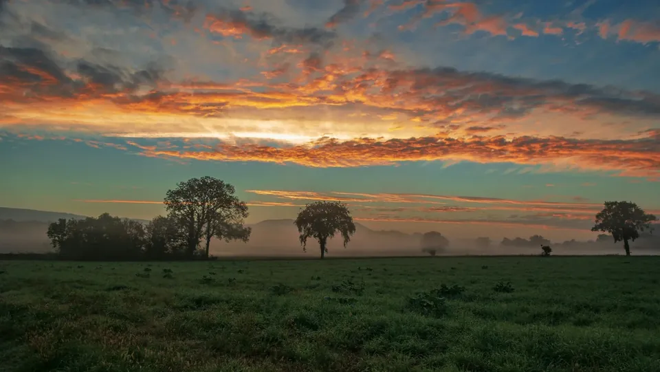Champs et silhouettes d’arbres dans une lumière brumeuse près de Morestel