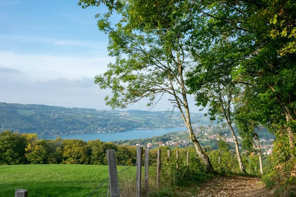 Prairie bordée d’arbres dominant le lac de Paladru
